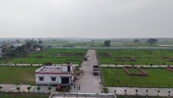 Estate Plot